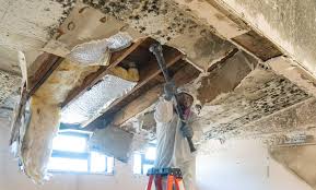 Best Post-Construction Mold Inspection  in West View, PA